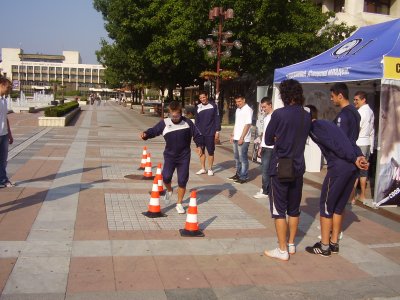 P3310007-1.JPG